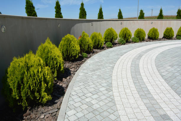 Reasons to Select Us for Your Driveway Paving Requirements in Webster Groves, MO